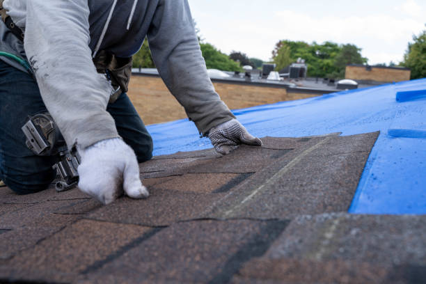 Gutter Installation and Roofing in Pembroke Park, FL